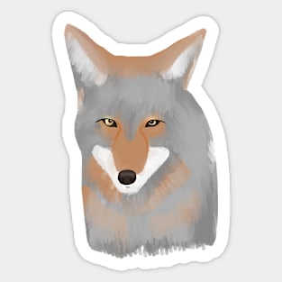 Cute Coyote Sticker